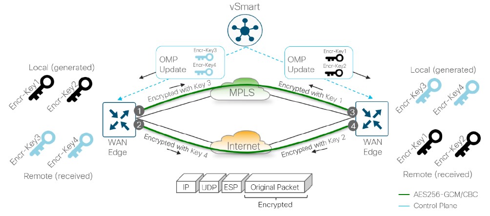 کنترلر vSmart سیسکو SD-WAN کنترلر vSmart سیسکو SD-WAN
